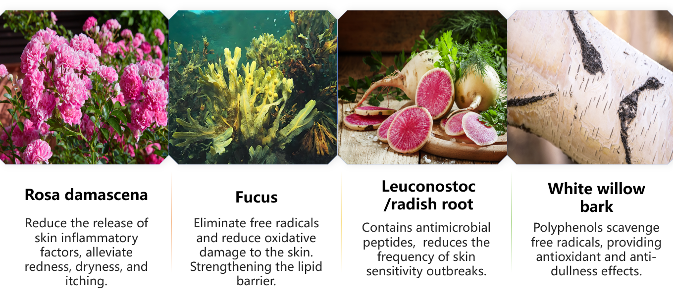 رذاذ تونر متوازن