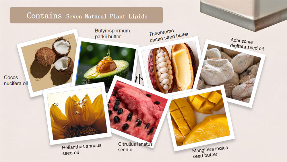 المكونات الرئيسية لحليب الجسم body milk key ingredients